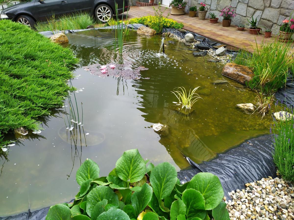 Ubytovani Iris Dolany  Esterno foto